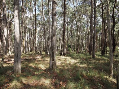 Property Lot 114 Pine Court, Dales Creek VIC 3341 IMAGE 0