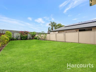 Property 20 Collings Street, Geebung QLD 4034 IMAGE 0