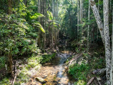 Property 543 Upper Pinbarren Creek Road, Pinbarren QLD 4568 IMAGE 0