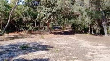 Property 35 BANKSIA ST, Loch Sport VIC 3851 IMAGE 0