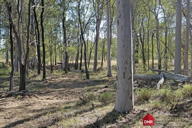Property Lot 1 Burnett Highway, MALMOE QLD 4627 IMAGE 0