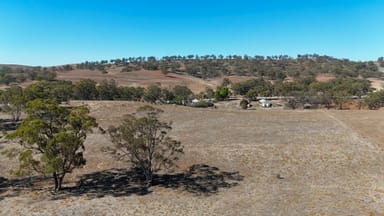 Property 1133 White Park Rd, Wirrabara SA 5481 IMAGE 0