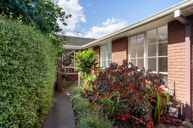 Property 4, 36-38 Osborne Avenue, Glen Iris VIC 3146 IMAGE 0