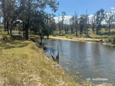 Property 390 Gwydir River Road (TORRYBURN), Bundarra NSW 2359 IMAGE 0