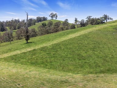 Property 423 Top Forestry Road, Ridgewood Qld 4563 IMAGE 0