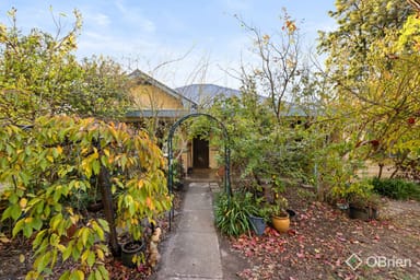 Property 419 Moyhu-Meadow Creek Road, Moyhu VIC 3732 IMAGE 0
