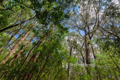 Property 2780 Gembrook-Launching Place Road, Gembrook VIC 3783 IMAGE 0