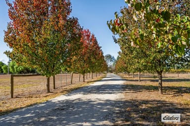 Property 91 Nashs Road, Rutherglen VIC 3685 IMAGE 0