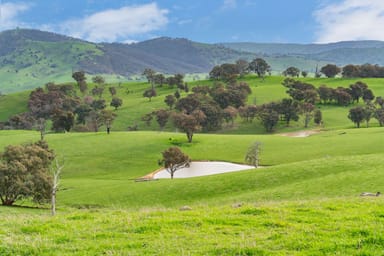 Property 242 Back Nacki Creek Road, SHARPS CREEK NSW 2729 IMAGE 0