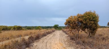 Property Lot 338 Casuarina Drive, Nilgen WA 6044 IMAGE 0