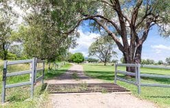 Property 206 Six Mile Road, Pink Lily QLD 4702 IMAGE 0