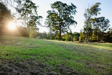 Property 47 Maroske Road, Tamaree QLD 4570 IMAGE 0