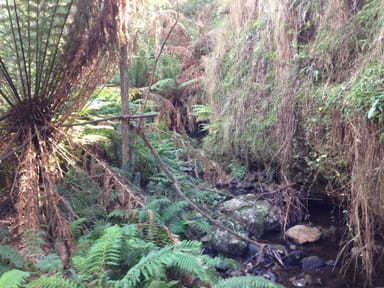 Property Lot 26 Big Jack Mountain Road, Cathcart NSW 2632 IMAGE 0