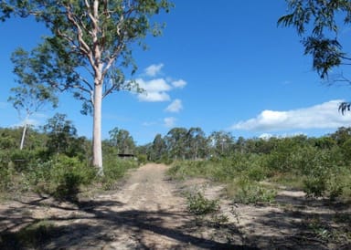 Property 255 Mollenhagens Road, Winfield QLD 4674 IMAGE 0