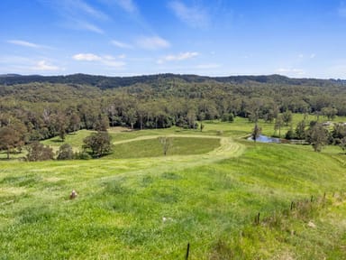 Property 423 Top Forestry Road, Ridgewood Qld 4563 IMAGE 0