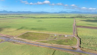 Property 13261 Bruce Highway, Myrtlevale QLD 4800 IMAGE 0