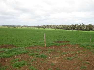 Property Tin Mine Road Tin Mine Road, Loorana TAS 7256 IMAGE 0