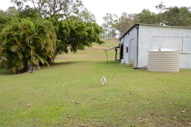 Property Tungamull QLD 4702 IMAGE 0