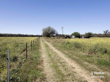 Property 198 Kelvin Road, GUNNEDAH NSW 2380 IMAGE 0