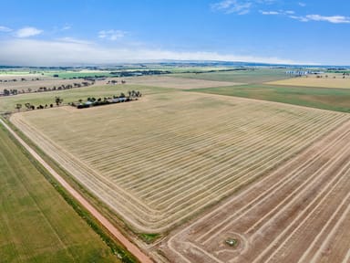 Property Freeling SA 5372 IMAGE 0
