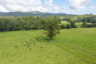 Property 876 SMITHS CREEK ROAD, KUNDABUNG NSW 2441 IMAGE 0
