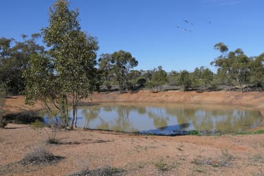 Property * Bahloo Station, 10049 Mitchell Highway West, COOLABAH NSW 2831 IMAGE 0