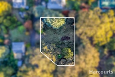 Property 11 Camp Hill Road, Walhalla VIC 3825 IMAGE 0