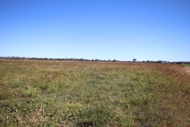 Property 244 A Creek Road, Eidsvold QLD 4627 IMAGE 0