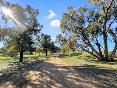 Property 292 Nolens Road, Colinroobie NSW 2680 IMAGE 0