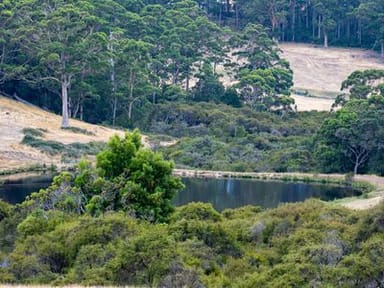 Property 202 Dingo Flat Road, Tingledale VIC 6333 IMAGE 0