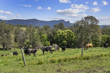 Property 703 Brays Creek Road, BRAYS CREEK NSW 2484 IMAGE 0