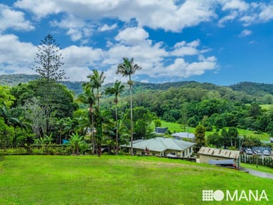 Property 6187 Tweed Valley Way, BURRINGBAR NSW 2483 IMAGE 0