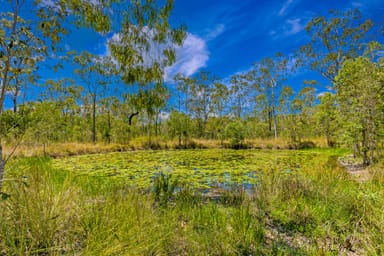 Property 74 Creevey Drive, CAPTAIN CREEK QLD 4677 IMAGE 0