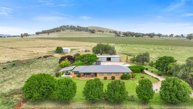 Property 13886 New England Highway, TAMWORTH NSW 2340 IMAGE 0