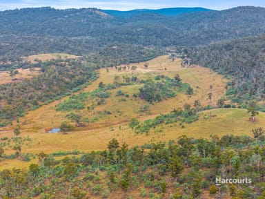 Property 5601 Tasman Highway, BUCKLAND TAS 7190 IMAGE 0