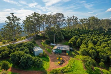 Property 480 Ponsfords Road, COMBOYNE NSW 2429 IMAGE 0