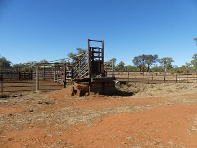 Property 6743 Jericho-Dunrobin Road, Jericho QLD 4728 IMAGE 0