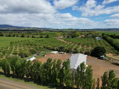Property 127 Hagley Station Lane, HAGLEY TAS 7292 IMAGE 0