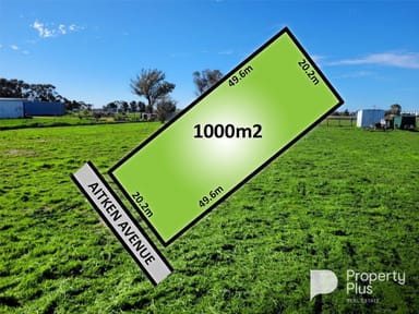 Property 48 Aitken Avenue, Donald VIC 3480 IMAGE 0