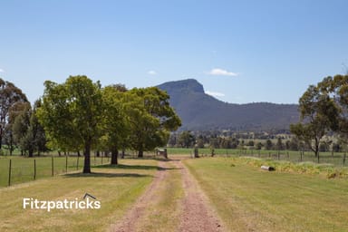 Property 66 Gap Road 'Little Rock', The Rock NSW 2655 IMAGE 0