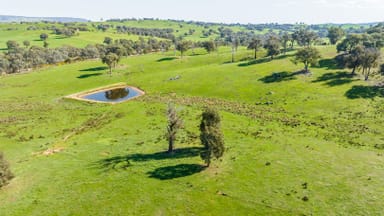 Property 13703 Hume Highway, Mullengandra NSW 2644 IMAGE 0