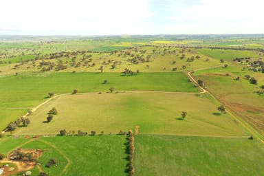 Property Cemetery Road, Murrumburrah NSW 2587 IMAGE 0