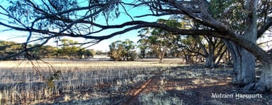 Property Caroling Bally-Bally Road, Morbinning WA 6304 IMAGE 0