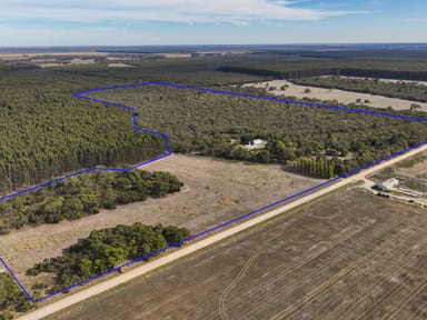 Property 858 Manga Rd, Wattle Range SA 5280 IMAGE 0