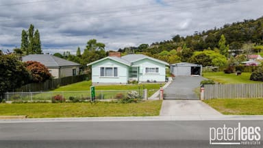 Property 14 Gravelly Beach Road, Blackwall TAS 7275 IMAGE 0