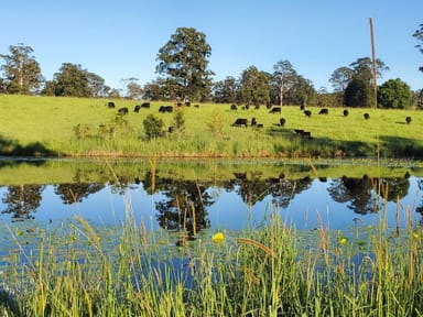 Property ROLLANDS PLAINS NSW 2441 IMAGE 0