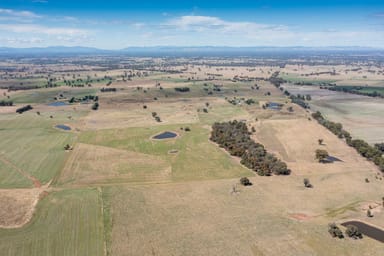 Property 646 Old Thoona Road, Goorambat VIC 3725 IMAGE 0