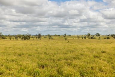 Property Roma QLD 4455 IMAGE 0