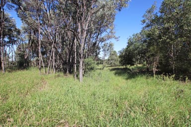 Property "Alaire" 161 Alaire Drive, ISLA QLD 4719 IMAGE 0