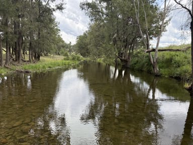 Property "Wylua" Trevallyn Road, UPPER HORTON NSW 2347 IMAGE 0